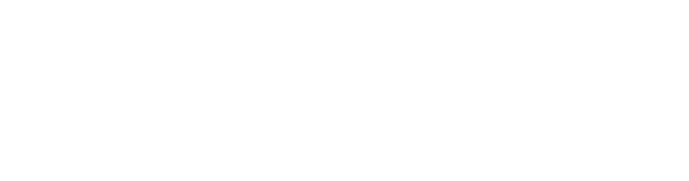 Soundworth white logo